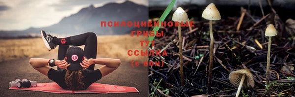 ГАЛЛЮЦИНОГЕННЫЕ ГРИБЫ Зерноград
