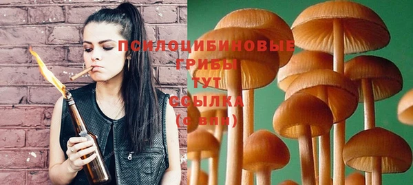 ГАЛЛЮЦИНОГЕННЫЕ ГРИБЫ Зерноград