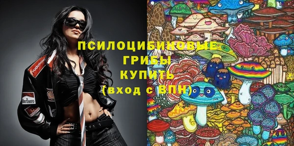 ГАЛЛЮЦИНОГЕННЫЕ ГРИБЫ Зерноград