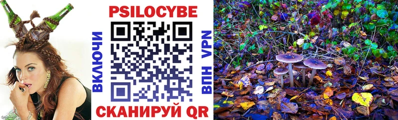 Купить закладки  Избербаш  Галлюциногенные грибы Psilocybe 