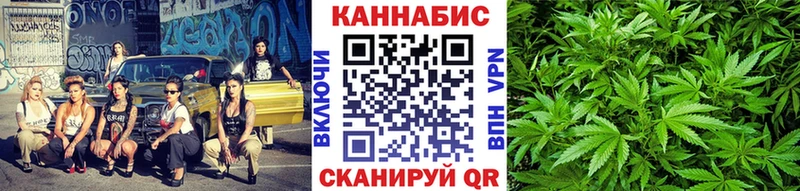Бошки Шишки гибрид  Купить  Избербаш 
